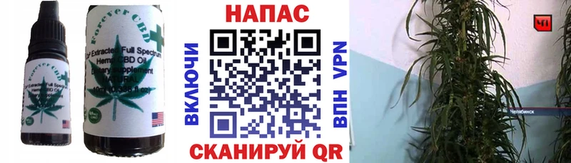 Canna-Cookies конопля  OMG ССЫЛКА  Новосибирск  где купить  