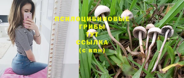 spice Абдулино
