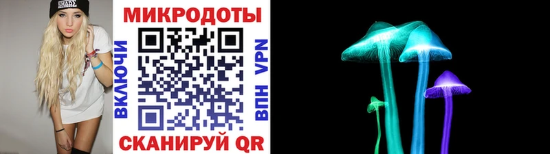 hydra ТОР  Новосибирск  Галлюциногенные грибы MAGIC MUSHROOMS  дарнет шоп 