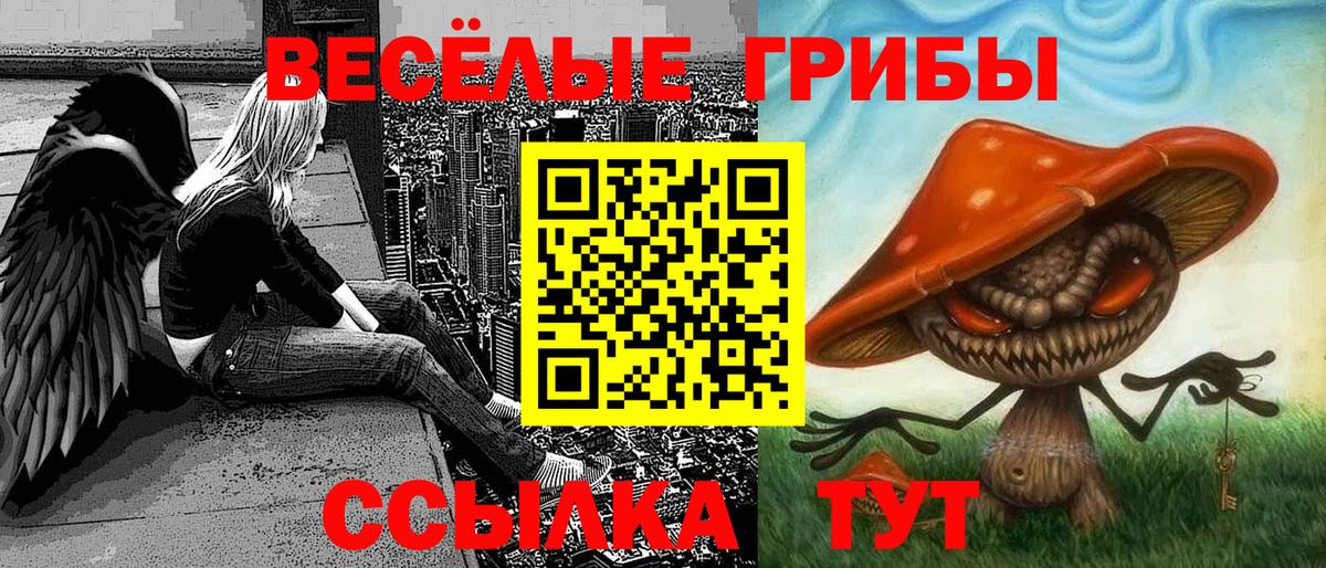 Галлюциногенные грибы Psilocybe  Вход с VPN  Новосибирск 